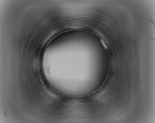 X0000096670530200802191331