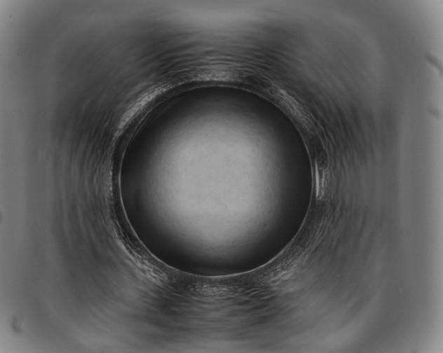 X0000096670531200802191331
