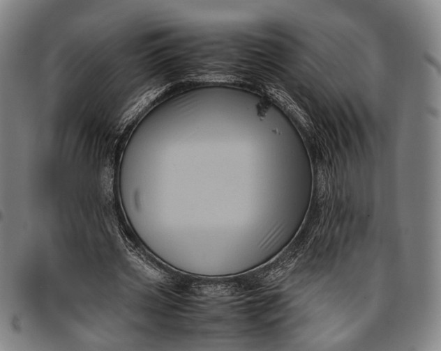 X0000096670533200802191331