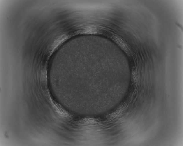 X0000096670534200802191331
