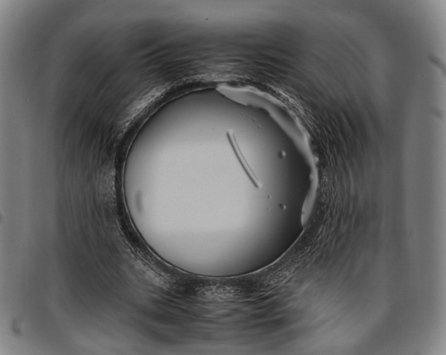 X0000096670535200802191331