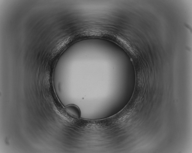X0000096670538200802191331