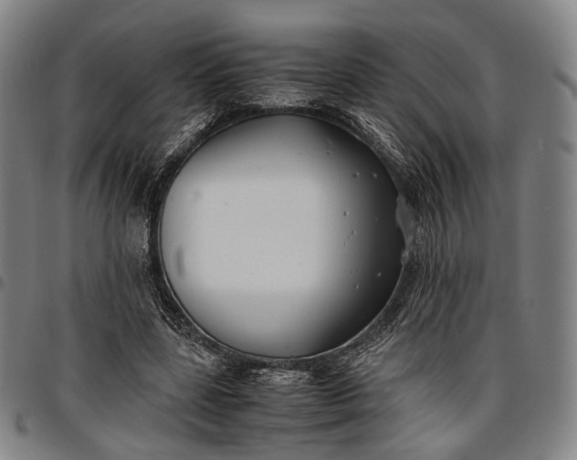 X0000096670539200802191331