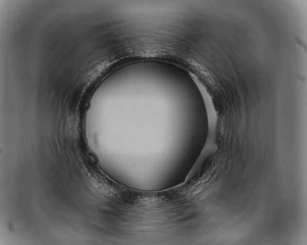 X0000096670540200802191331