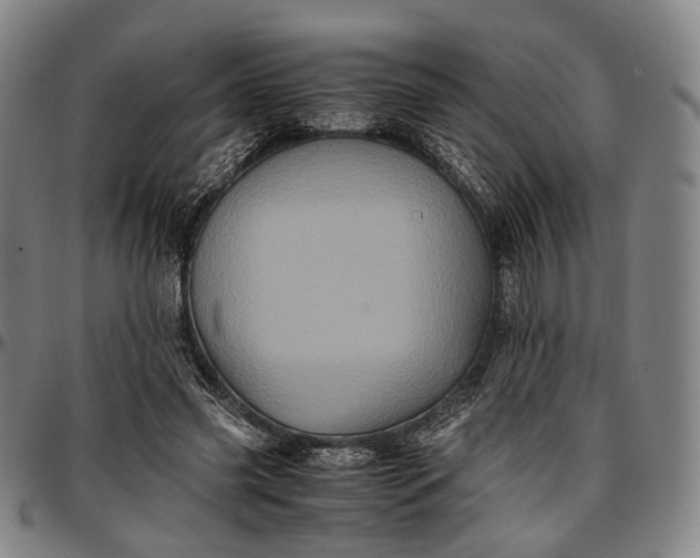 X0000096670541200802191332