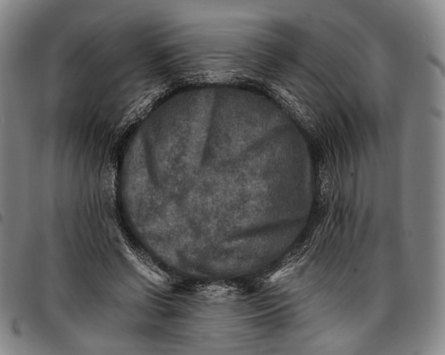 X0000096670542200802191332