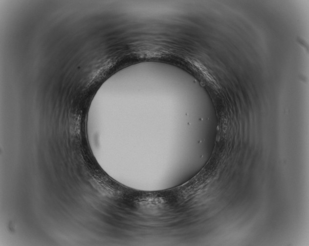 X0000096670543200802191332