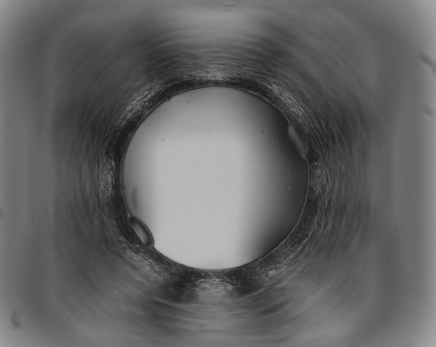 X0000096670544200802191332