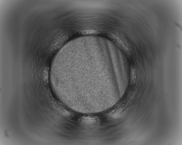 X0000096670545200802191332