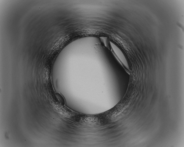 X0000096670546200802191332
