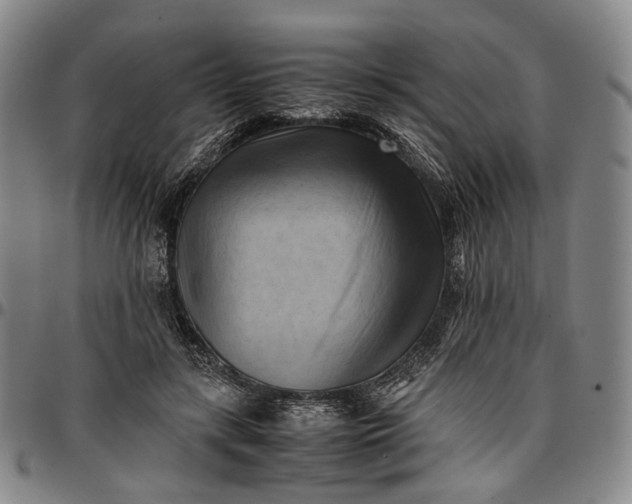 X0000096670547200802191332