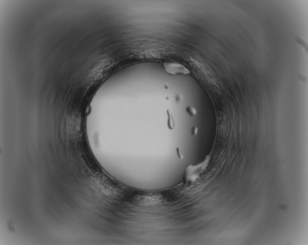 X0000096670548200802191332
