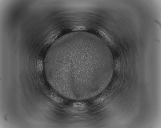 X0000096670549200802191332