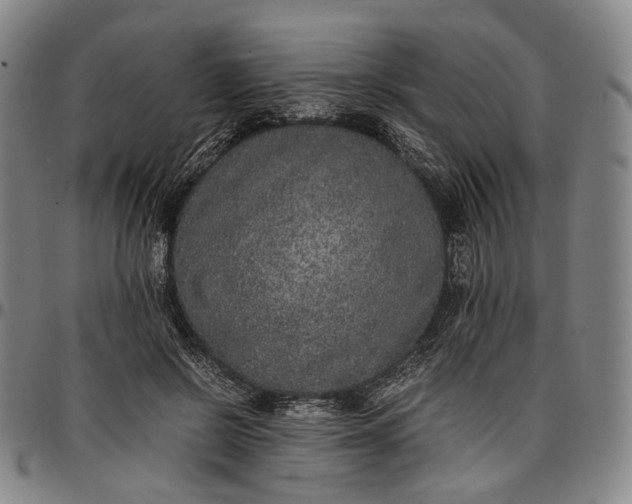 X0000096670550200802191332
