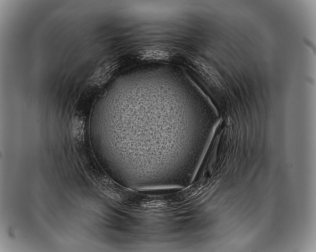 X0000096670551200802191332