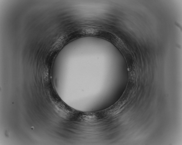 X0000096670552200802191332