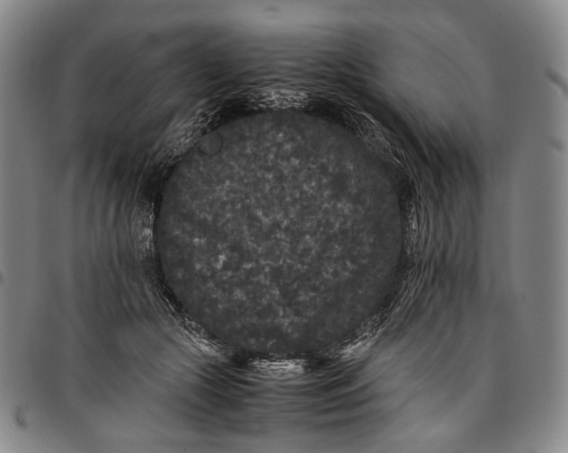 X0000096670553200802191332