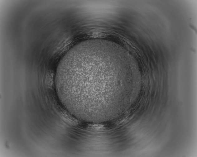 X0000096670554200802191332