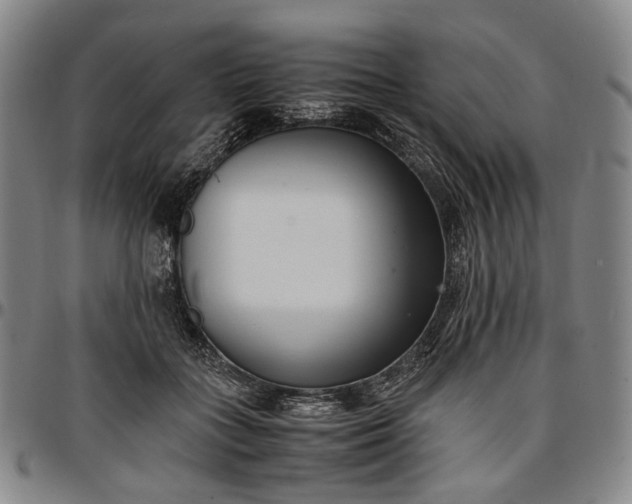 X0000096670555200802191332