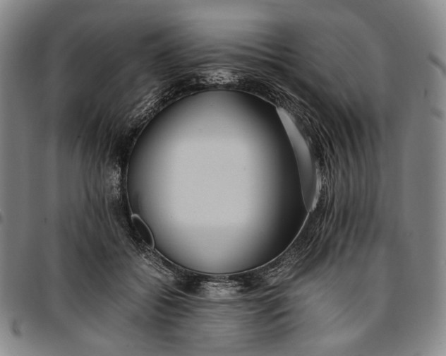 X0000096670556200802191332