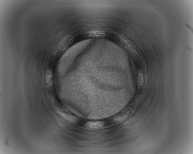 X0000096670557200802191332