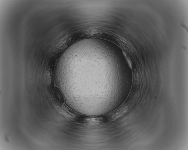 X0000096670558200802191332