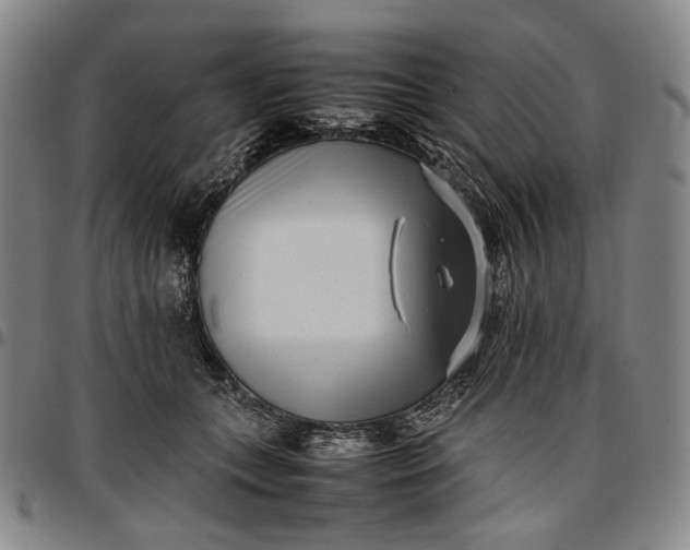 X0000096670559200802191332