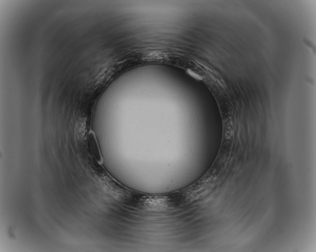 X0000096670560200802191332