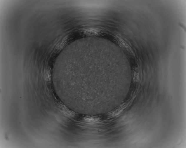 X0000096670561200802191332