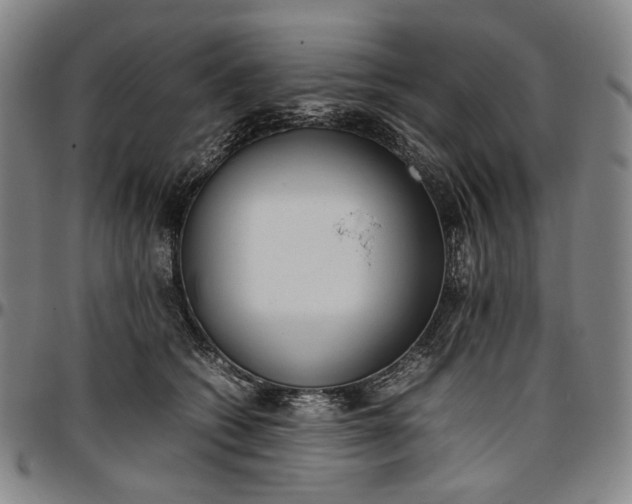 X0000096670562200802191332