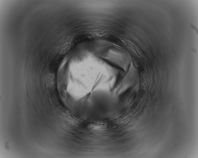 X0000096670563200802191332