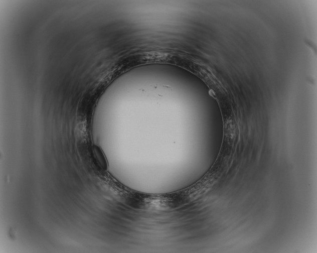 X0000096670564200802191332