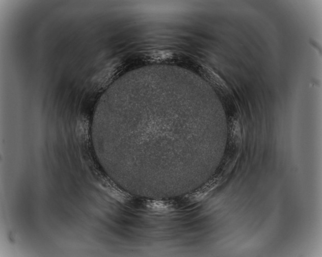 X0000096670565200802191332