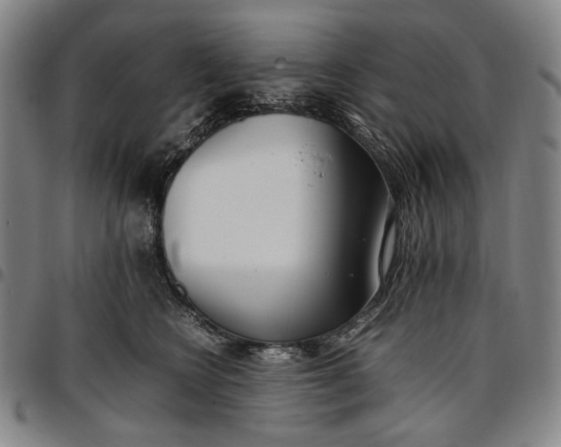 X0000096670566200802191332