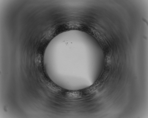 X0000096670567200802191332