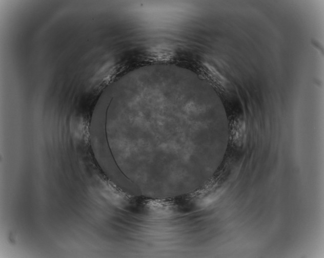 X0000096670568200802191332