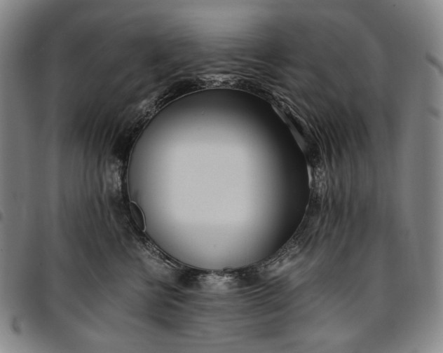 X0000096670570200802191332
