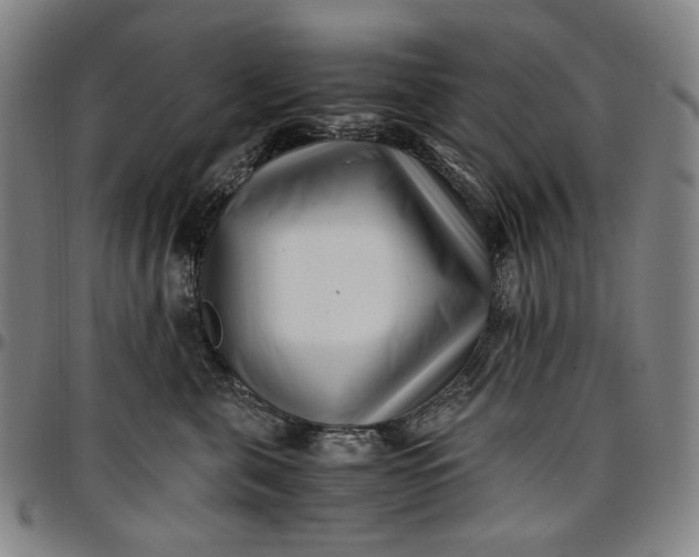 X0000096670571200802191332