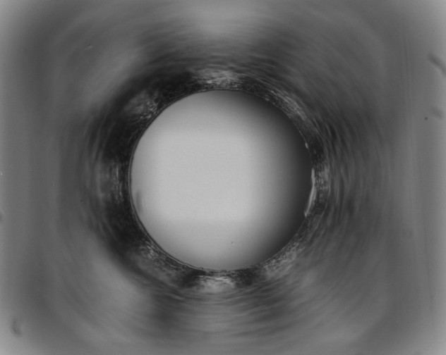 X0000096670572200802191332