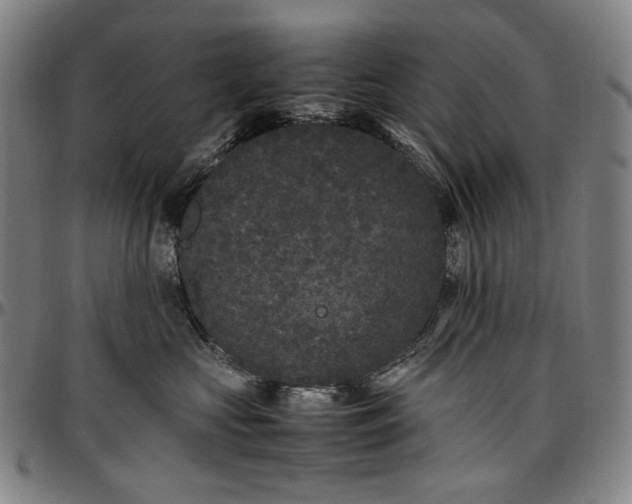 X0000096670573200802191332