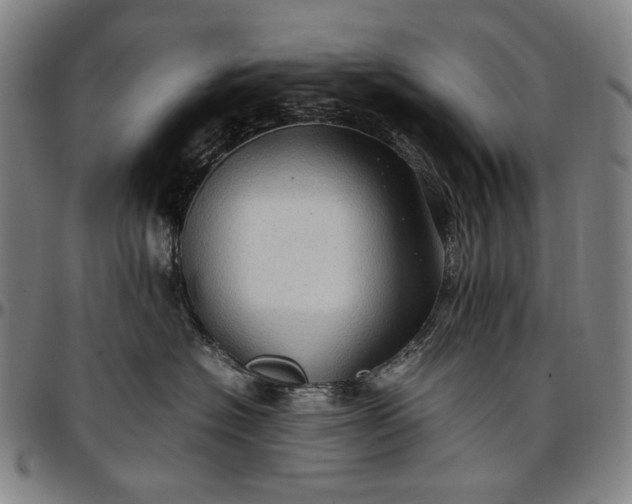 X0000096670574200802191332