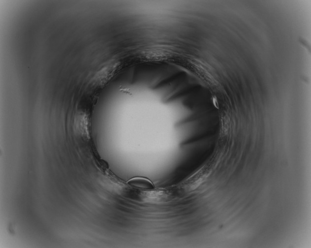 X0000096670575200802191332