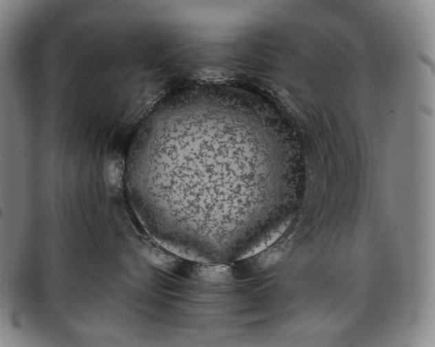 X0000096670576200802191332
