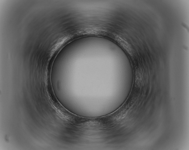 X0000096670578200802191331