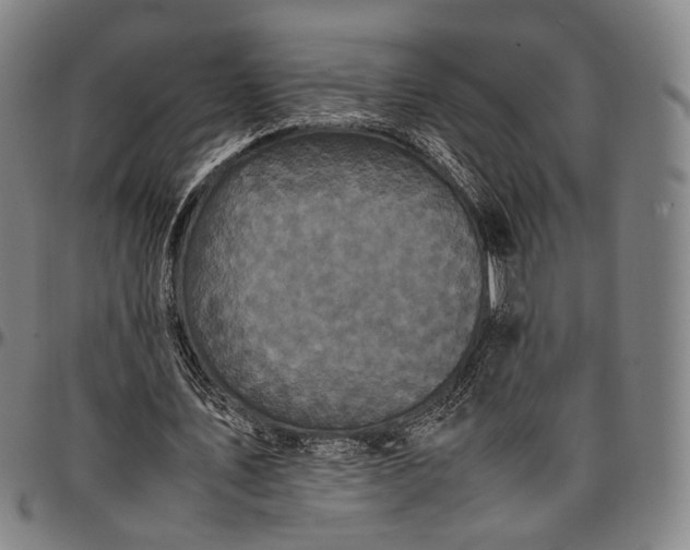 X0000096670579200802191331
