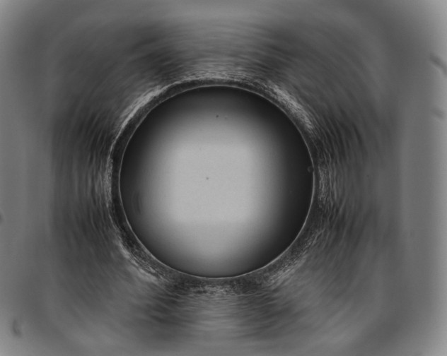 X0000096670580200802191331
