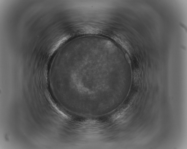 X0000096670581200802191331