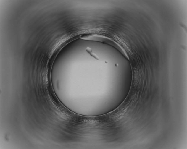 X0000096670582200802191331