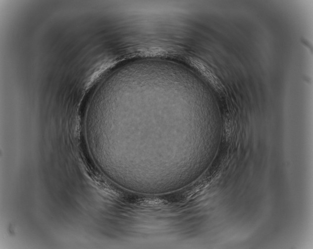 X0000096670583200802191331