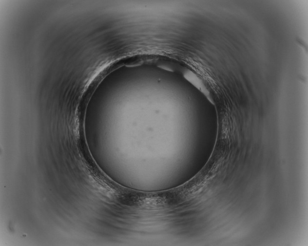 X0000096670584200802191331